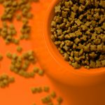 The Adult Dog Food Complete Guide