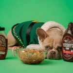 Which Food Is Right For Your Puppy?
