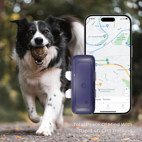GPS Dog Tracker Product Image 1