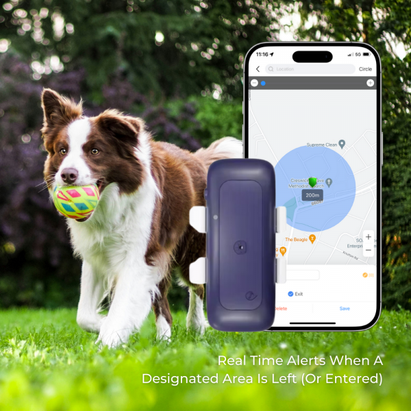 GPS Dog Tracker Product Image 2