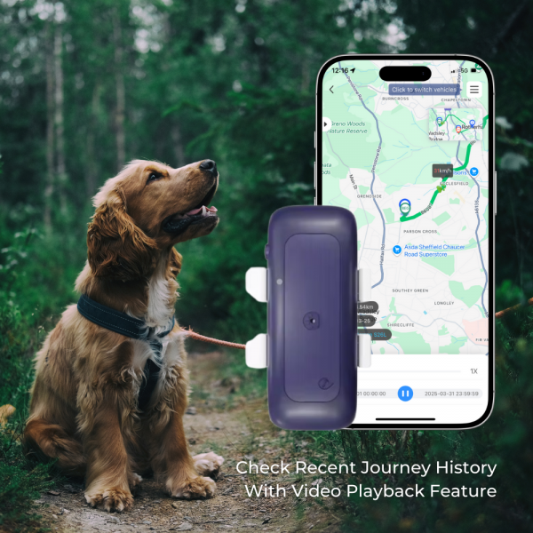 GPS Dog Tracker Product Image 3