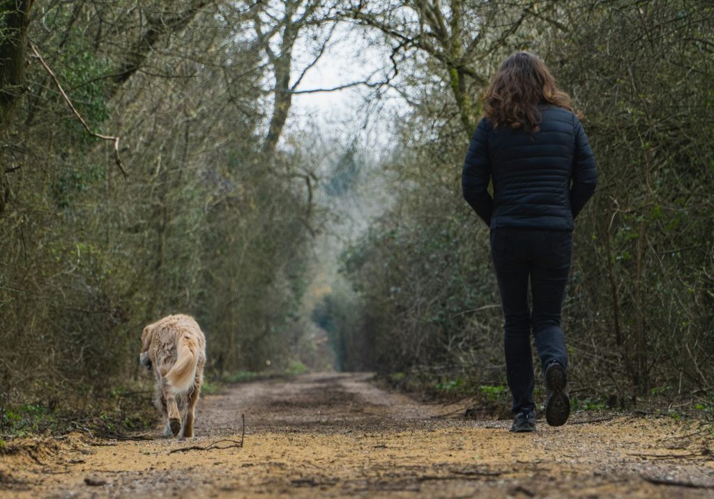 New Year, New Habits: Walking More With Your Dog in January