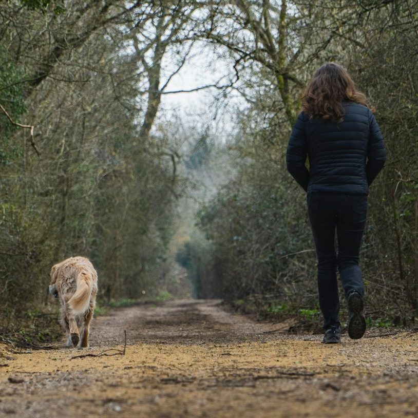 New Year, New Habits: Walking More With Your Dog in January