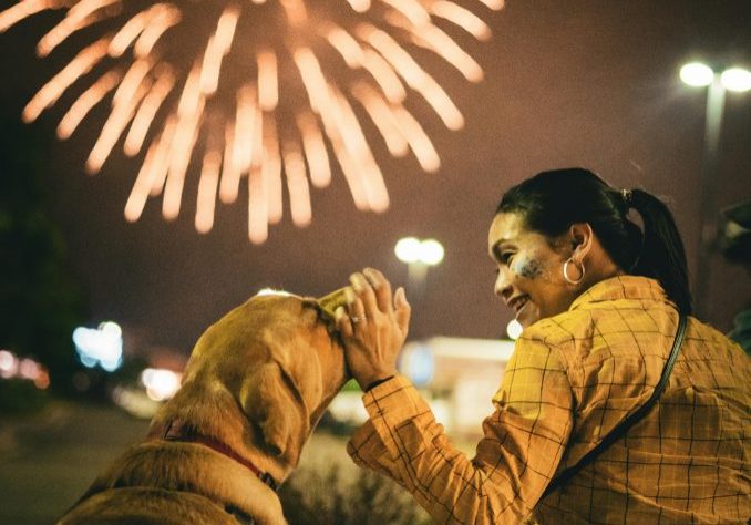 Keeping Dogs Safe During Bonfire Night