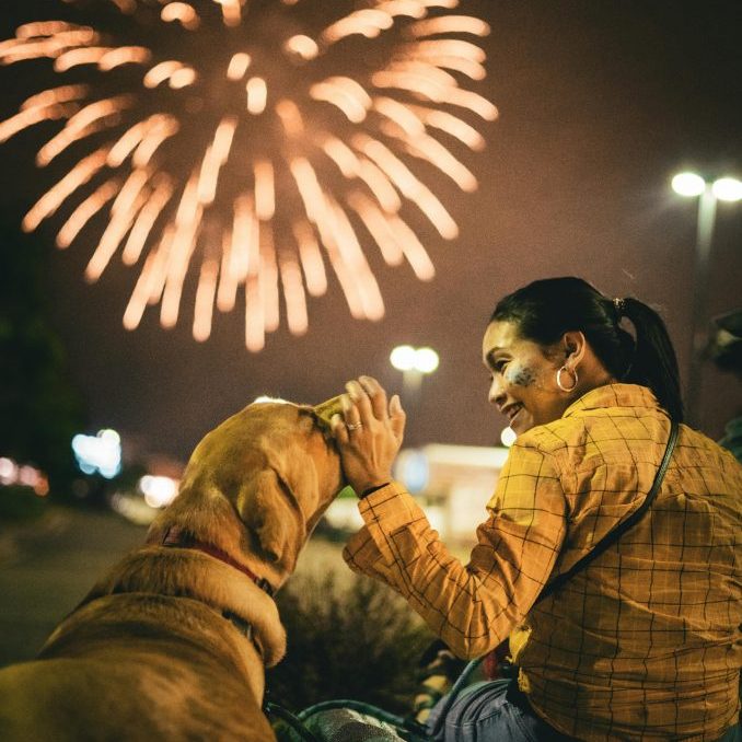 Keeping Dogs Safe During Bonfire Night